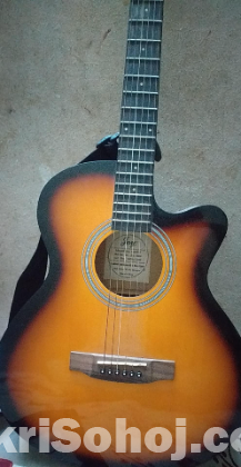 Aquistic Guitar(Joy)